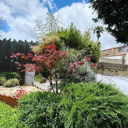 Vila Merma Luçon